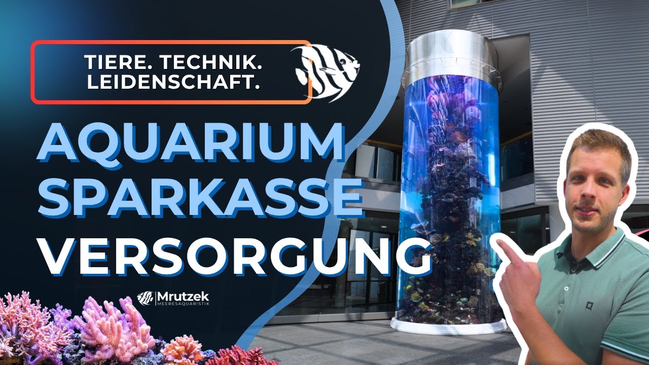32.000 Liter Aquarium – Versorgung, Kontrolle und Beleuchtung eines Großaquariums! (Teil 3)