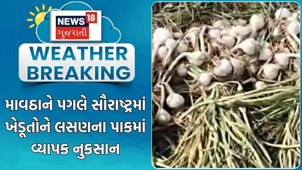 Unseasonal Rain News | માવઠાને પગલે સૌરાષ્ટ્રમાં ખેડૂતોને લસણના પાકમાં વ્યાપક નુકસાન |Weather Update