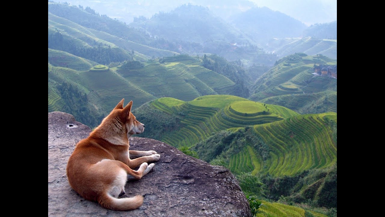 The grandest photos natural and charming landscape -3