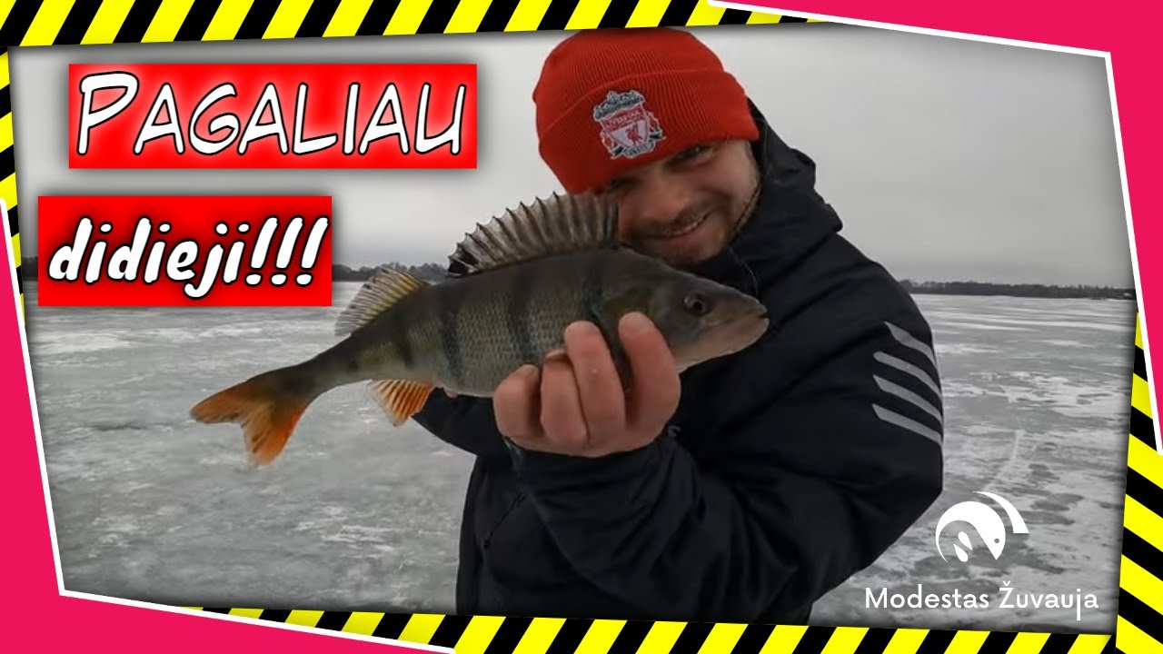 Ešeriai monstrai