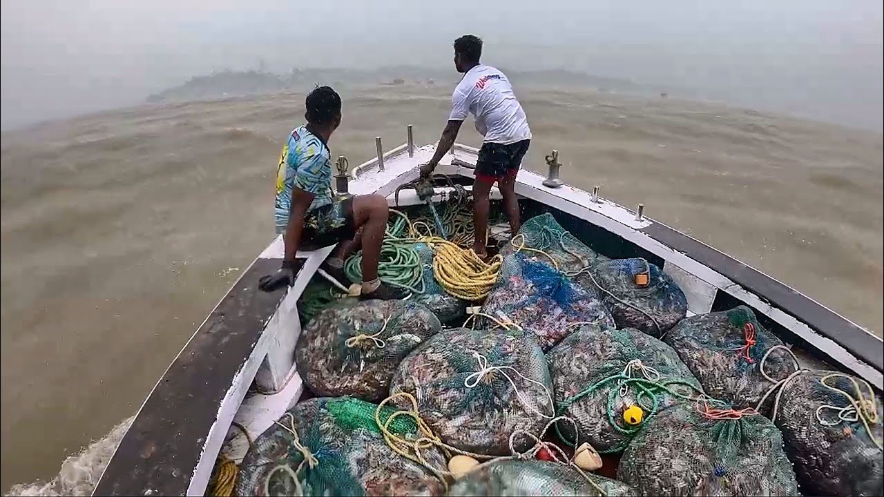 अचानक सुटले वादळ जाळी खेचायची झाली घाई. Stormy fishing in Deep sea. Mumbai India fishing