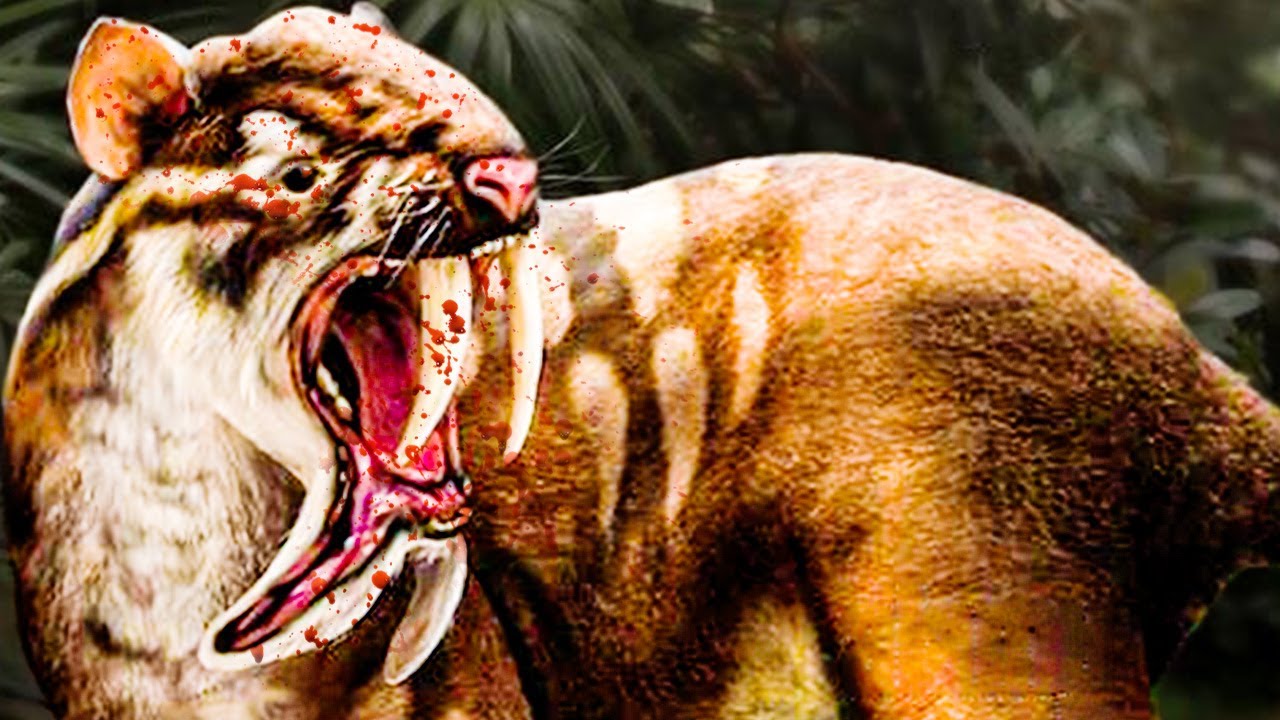 You have NEVER Seen This Before | Thylacosmilus