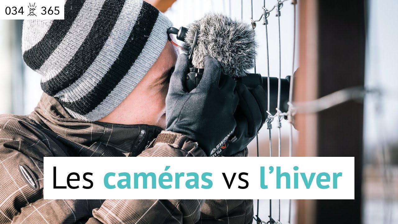 Faire de la PHOTO et de la VIDÉO par temps FROID ou l'hiver: 3 conseils de pro | Jour 34 de 365
