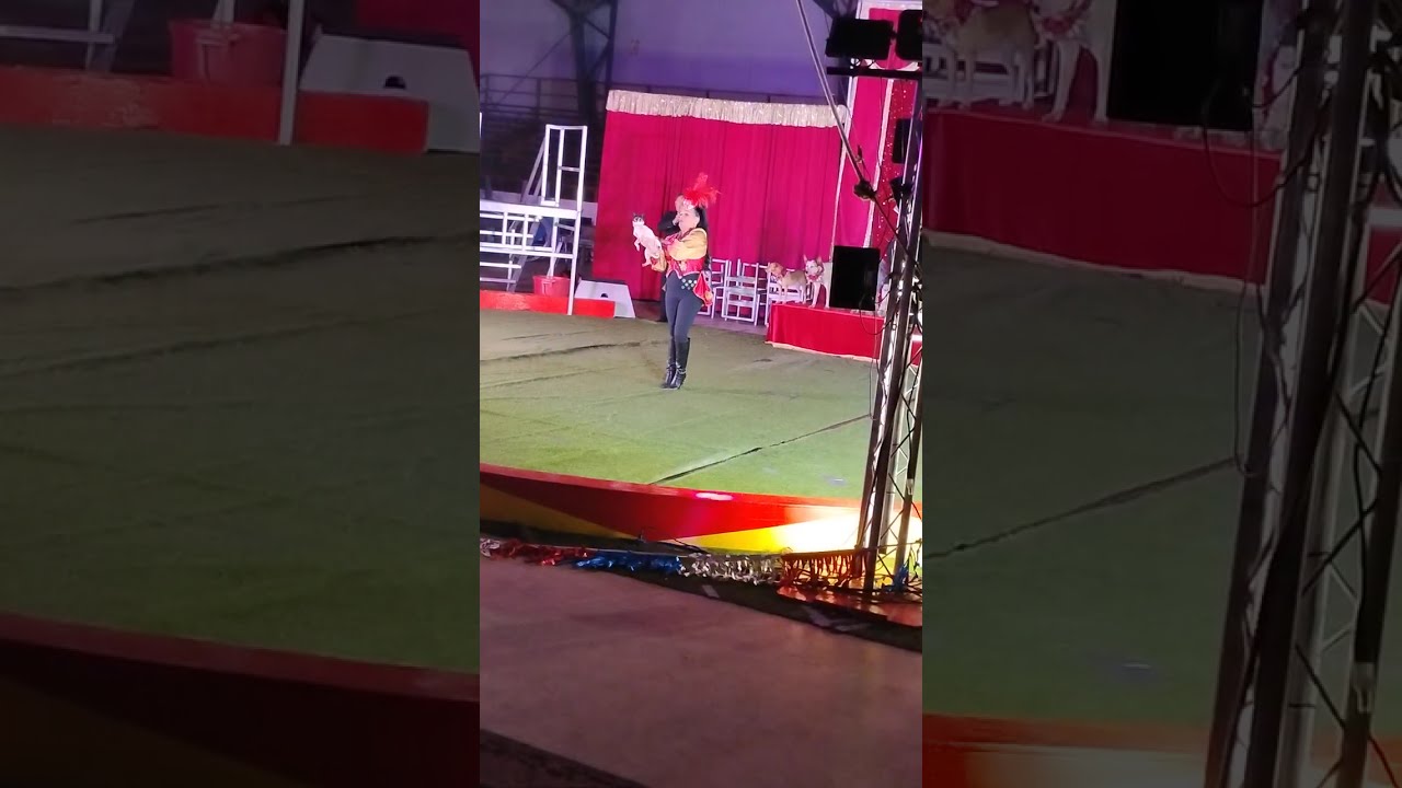 Circus 3