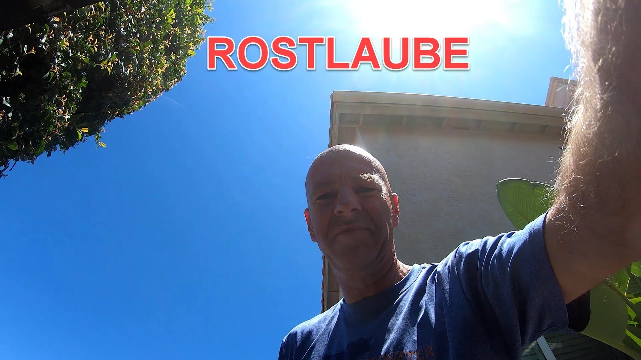 DIE ALTE ROSTLAUBE oder WIE KOCHT MAN DEUTSCHE WIENER