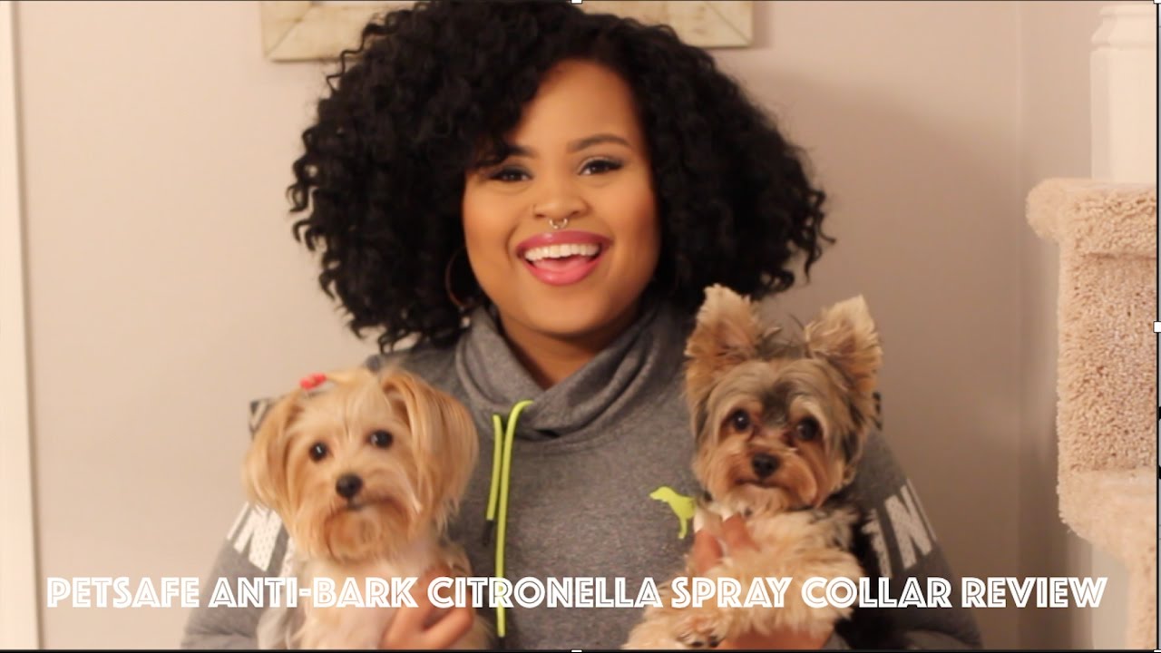 PETSAFE ANTI-BARK CITRONELLA SPRAY COLLAR REVIEW