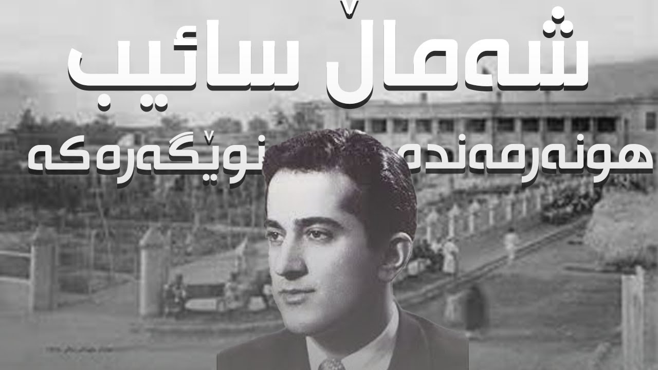 شەماڵ سائیب - هونەرمەندە نوێگەرەکە