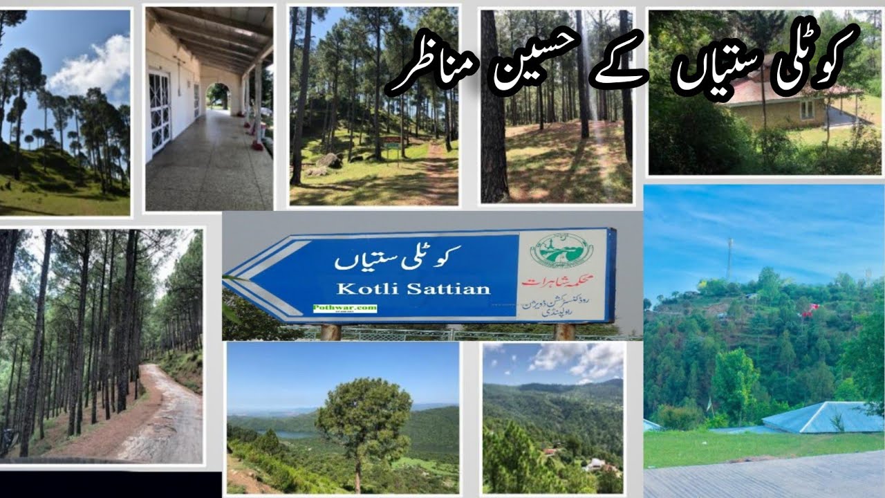 beautiful kotlisattian | greenery of kotlisattian | pine view valley kotlisattian | @Shary edits