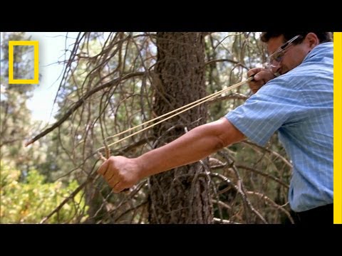 Shooting at a Tough Target | Are You Tougher Than A Boy Scout?