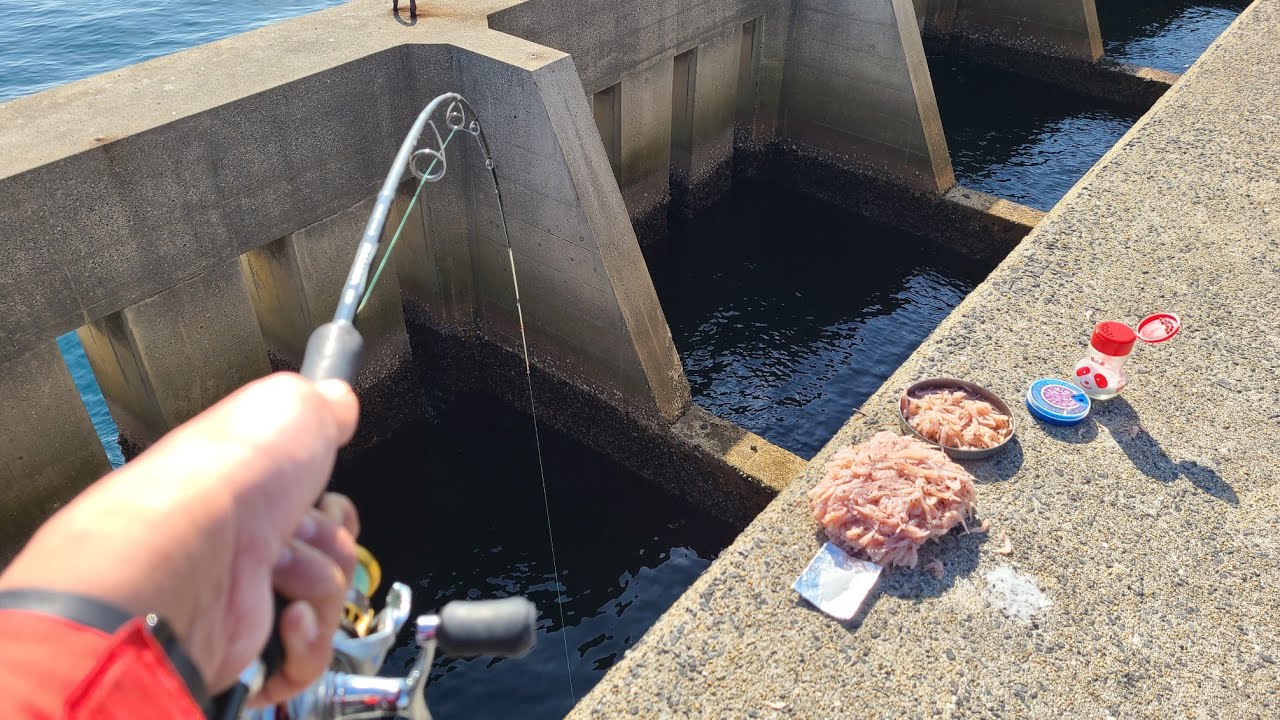 I Threw MSG into a Huge Hole and Fish Went Crazy