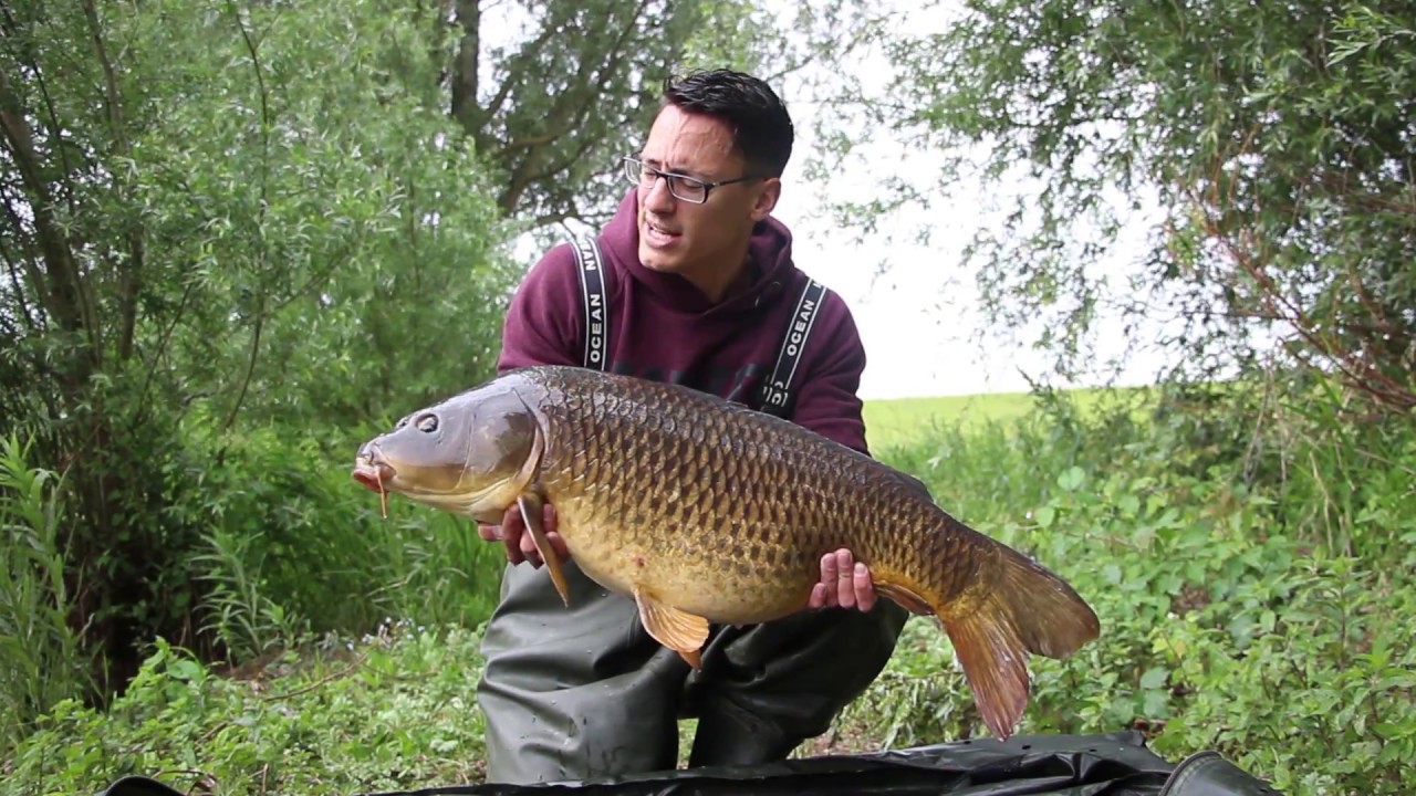 Michiel Pilaar over de Pro Line Xtreme Carp Care