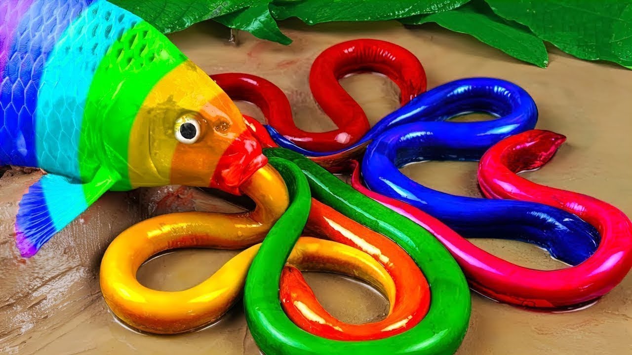 Surprised Catch Colorful Aquarium Fish In Small Pond, Carp, Pencil Dish, Glass Fish, Guppy, Koi Fish