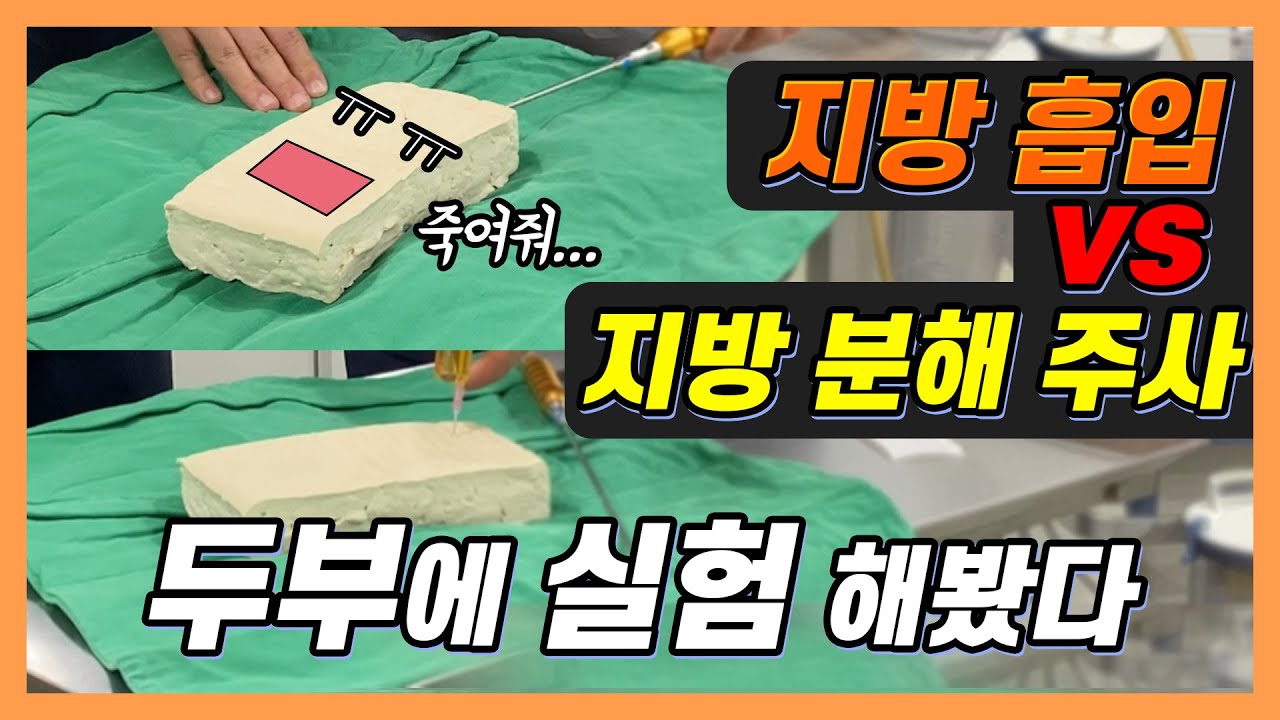 Eng/JP/CN/Viet) [지방흡입 VS 지방 분해 주사] 무슨 차이점?! 두부에 실험해보기...결과는?!