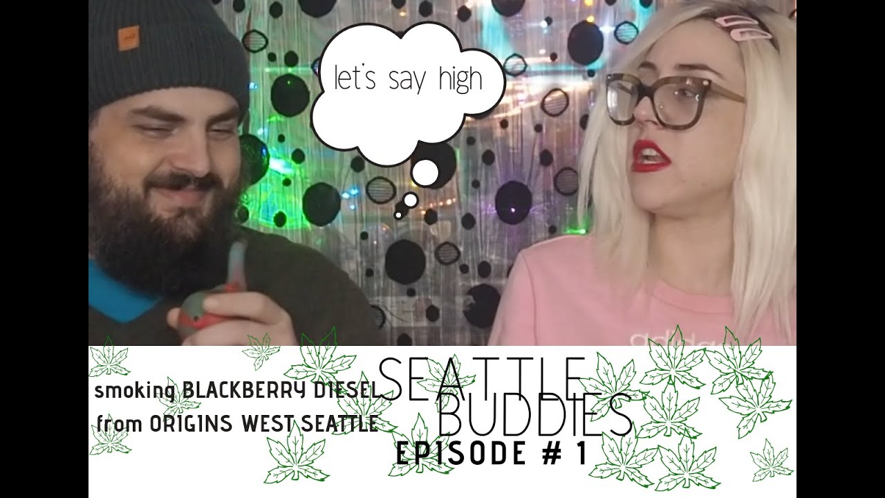 Seattle Buddies Ep#1 || CANNABIS HAUL | Blackberry Diesel REVIEW | FLOR FINA ICE HASH