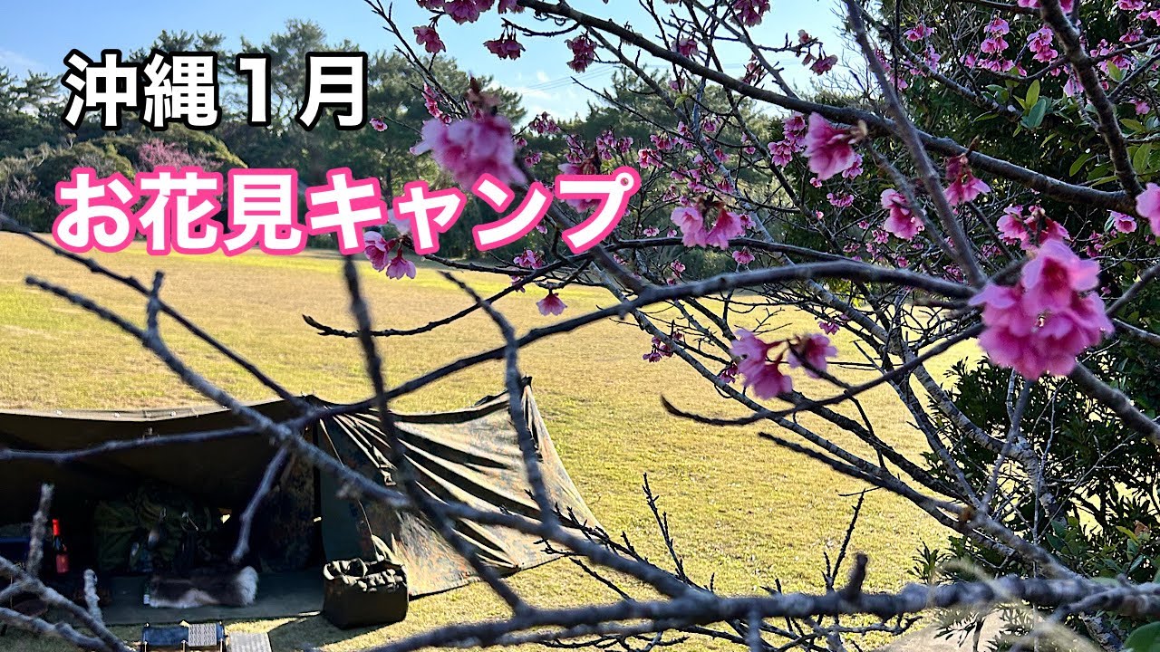 さけキャン△76話　国頭村森林公園〜星と森のキャンプ場〜3