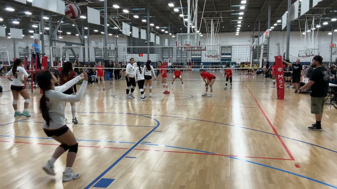 Elite E. Oscar 16s set 2and 3