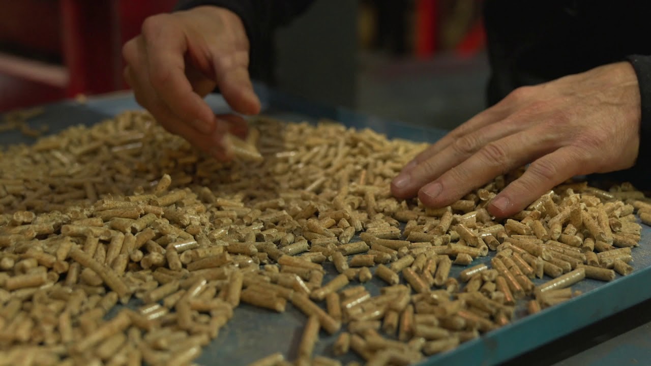 Einblick in die Pelletsproduktion | Holzindustrie | Blumer Lehmann