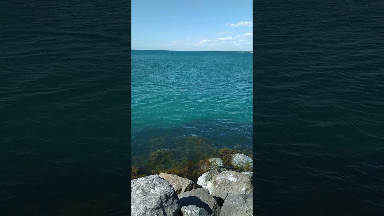 #nature #dolphin #MandurahperthwesternAustralia #sumsungs23ultra