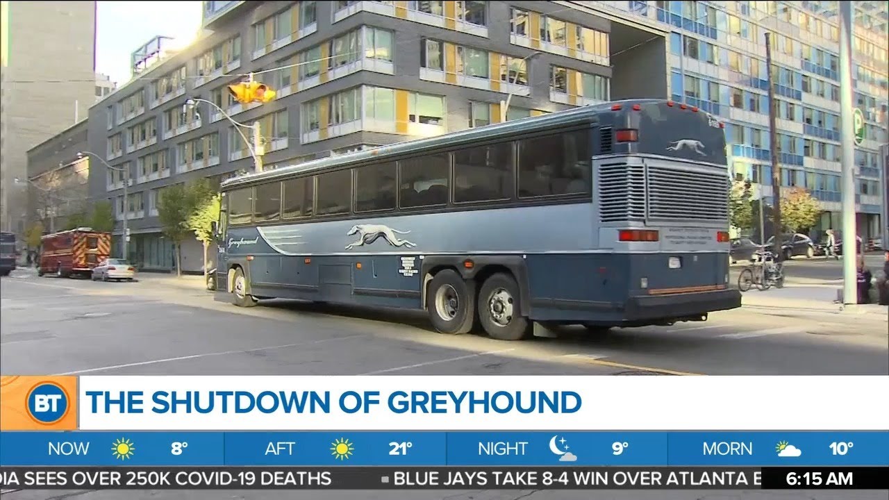 Business Report: Greyhound shutdown, Amazon hiring, cannabis industry