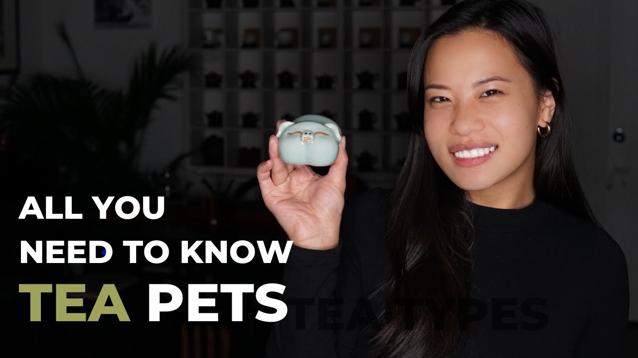 Знакомство с Tea Pets | Чай с Брижит