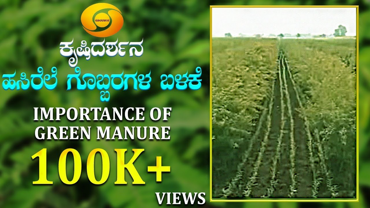 Krishidarshana | Importance Of Green Manure | ಕೃಷಿದರ್ಶನ | ಹಸಿರೆಲೆ ಗೊಬ್ಬರಗಳ ಬಳಕೆ | DD Chandana