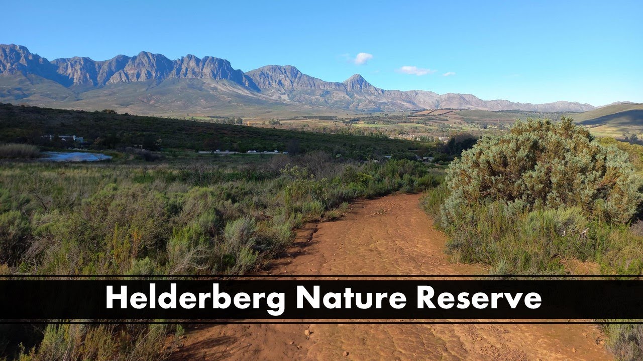 Helderberg Nature Reserve, Western Cape, South Africa