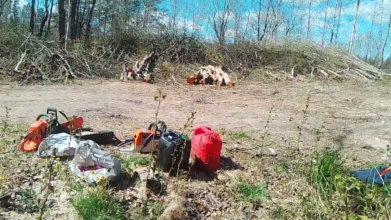 @Poltto puu rankojen karsinta OSA.2 🇫🇮