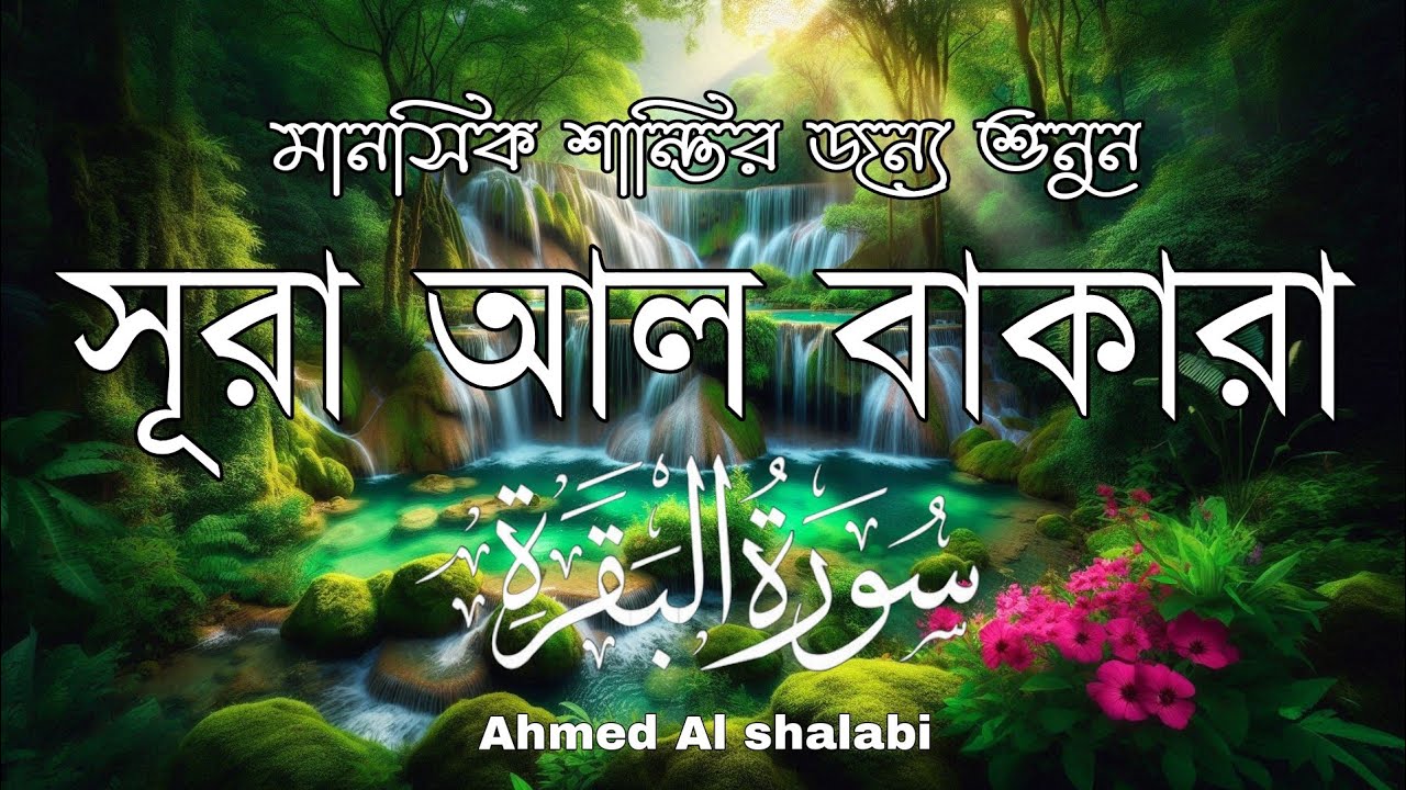 ঘরে শান্তি, নিরাপত্তা ও বরকতের জন্য শুনুন সূরা আল-বাকারা | Quran Recitation by ahmed al shalabi