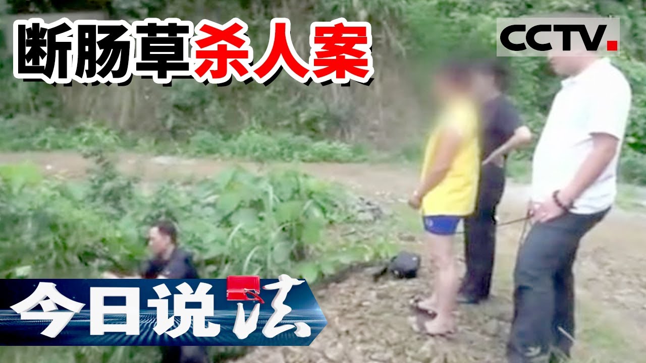 《今日说法》广西女子被邻居连续强奸三次 为报复用断肠草杀人灭口 20160124 | CCTV今日说法频道