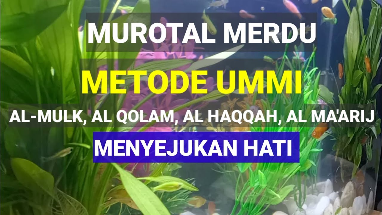 MUROTAL METODE UMMI SURAH AL MULK AL QOLAM AL HAQQAH AL MA'ARIJ