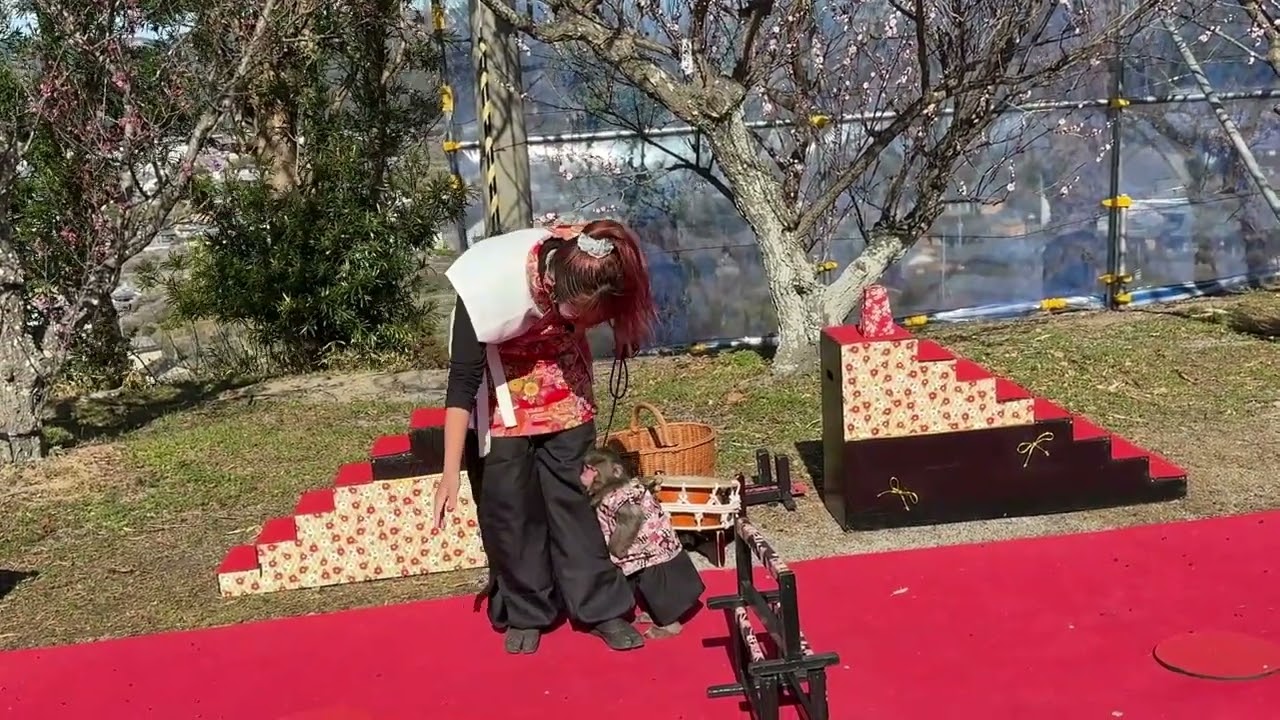 和歌山県紀州・南部梅林一目百万の香り