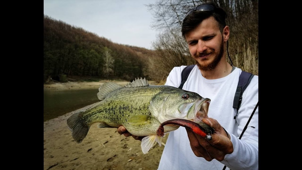 Largemouth bass fishing on Lake Petnja, Croatia - MASSIVE unexpected catch!!