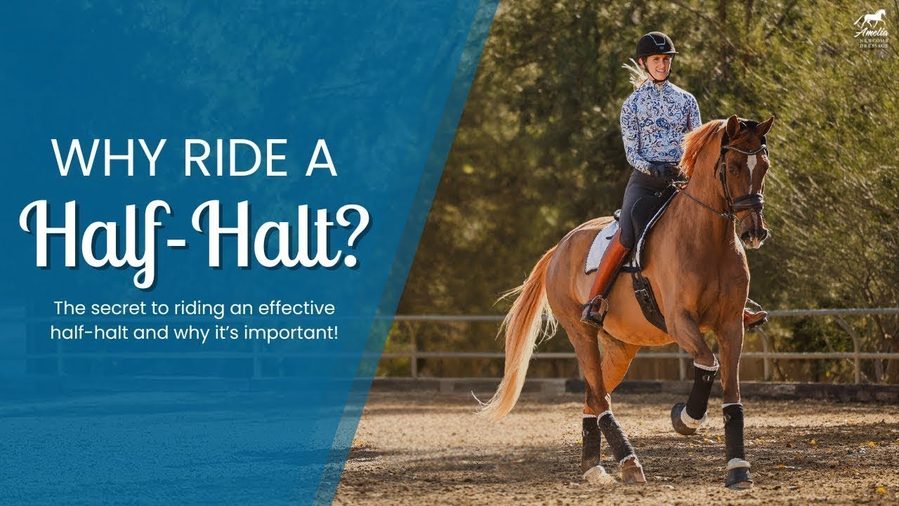 Why are Half-Halts Important?