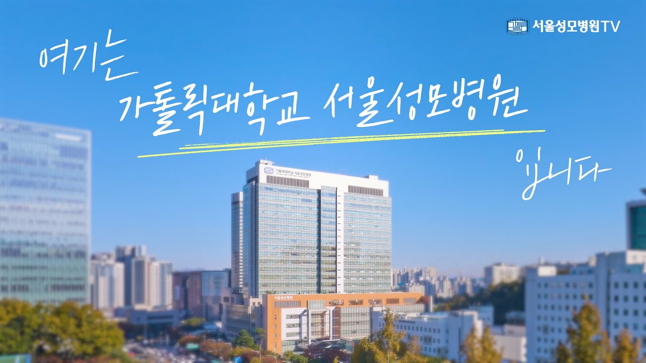 여기는 가톨릭대학교 서울성모병원 입니다. 타임랩스 & 헬리캠 영상