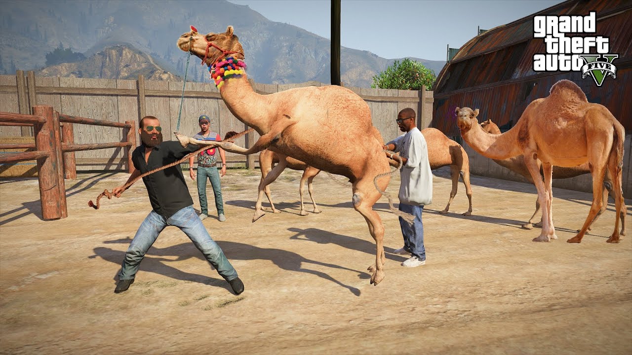 CAMELS AGAYE MANDI MEIN 🐫 | BAKRA EID 2023 EPISODE 11 | GTA 5 STORIES