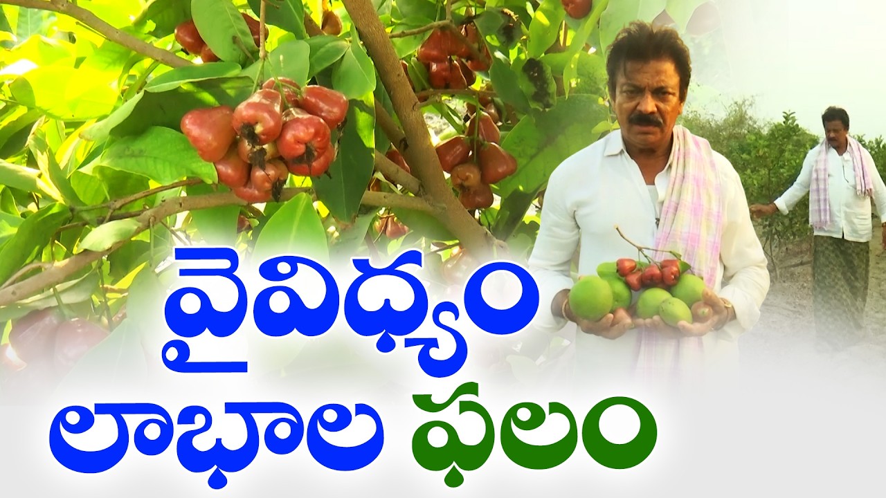 From Chemicals to Natural Farming | YouTube Changed His Life! Farmer Success Story | Korrapadu