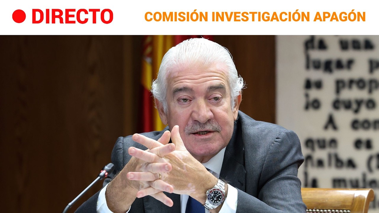 DIRECTO | José Bogas, CEO de ENDESA, comparece en el SENADO por el APAGÓN | RTVE Noticias