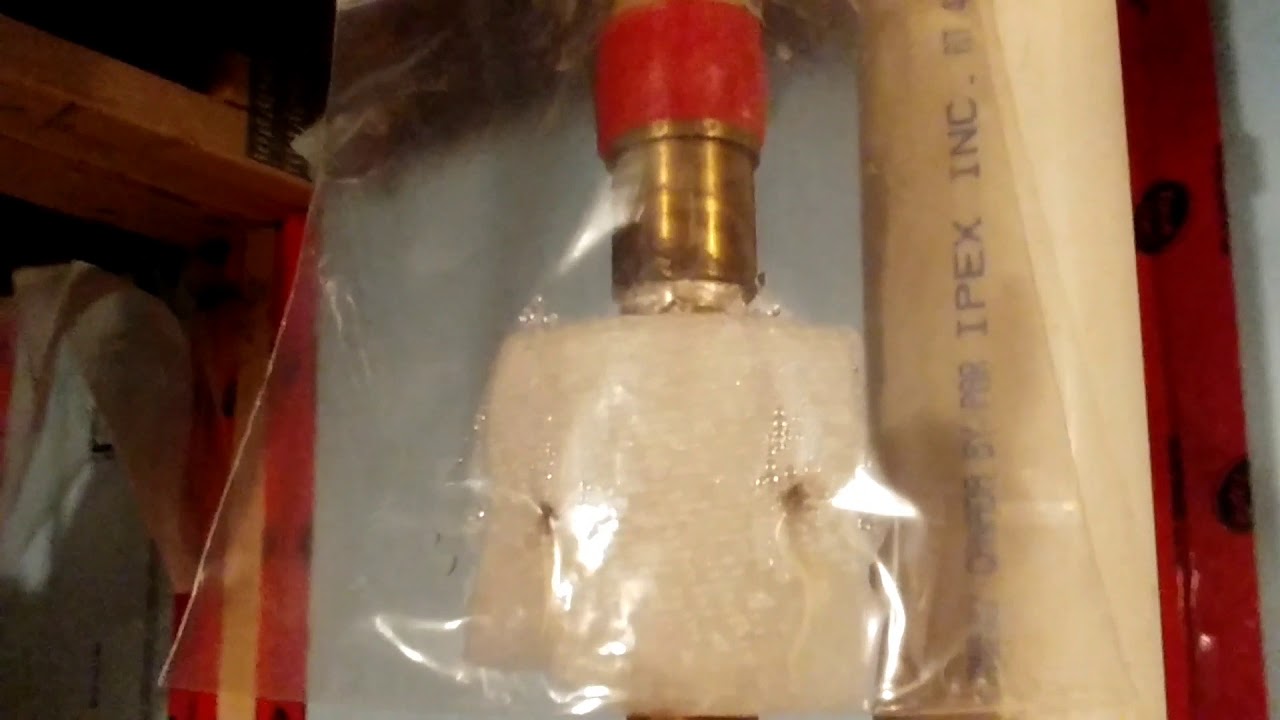 How to Germinate Weed Seeds Fast (My New Fool Proof Method)