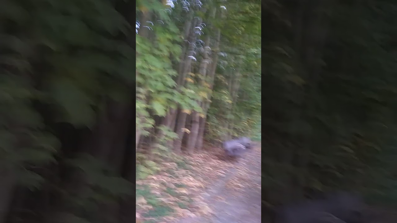 #park