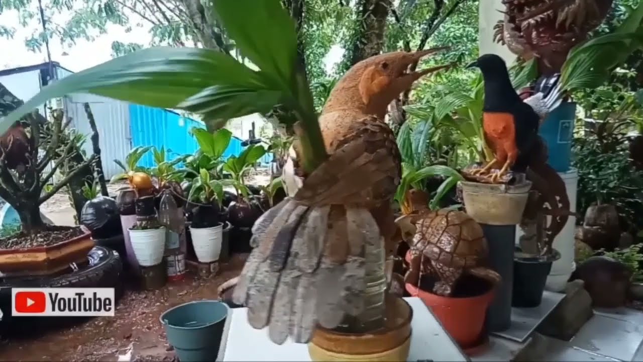 PROSES PEMBUATAN BONSAI KELAPA MOTIF BURUNG BEO | #BENGKELBONSAIKELAPA