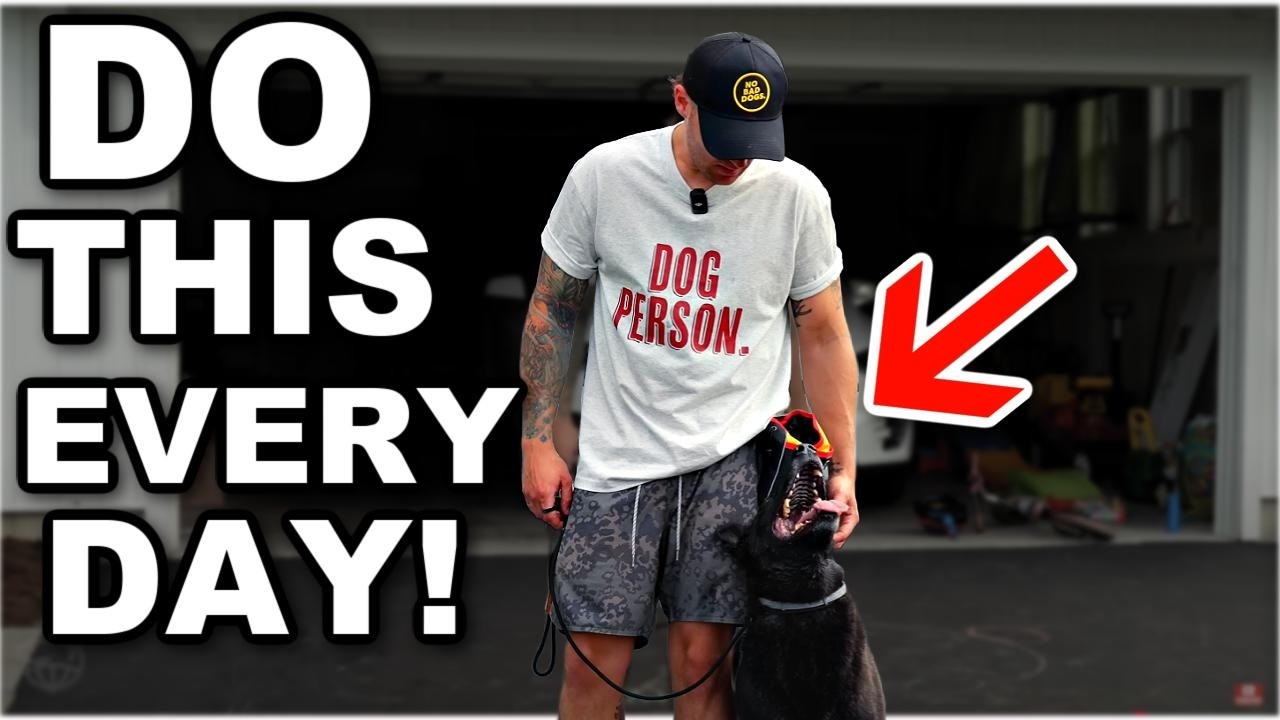 3 Dog Exercises You Should Do EVERY DAY!