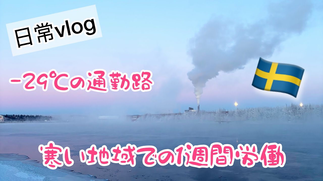 日々の生活と寒い1週間/スウェーデン北部の抜き打ち検査
