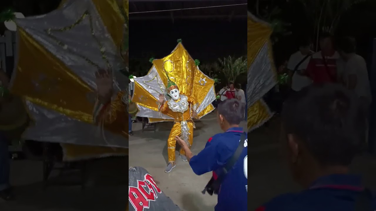 เสียงนกกิ่งกะลา ของพี่น้องไทยใหญ่ တင်းၵႃႈၼူၵ်ႉၵိင်ႇၵႃႇလႃႇၶိုၵ်ႉၶႅမ်ႉထူၢၼ်ၶႃႈ