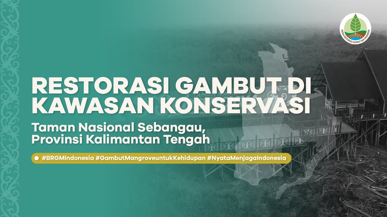 Restorasi Gambut di Kawasan Konservasi di Taman Nasional Sebangau, Provinsi Kalimantan Tengah