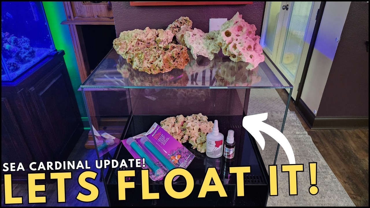 How to build a floating aquascape for your reef tank - Sea Cardinal Build