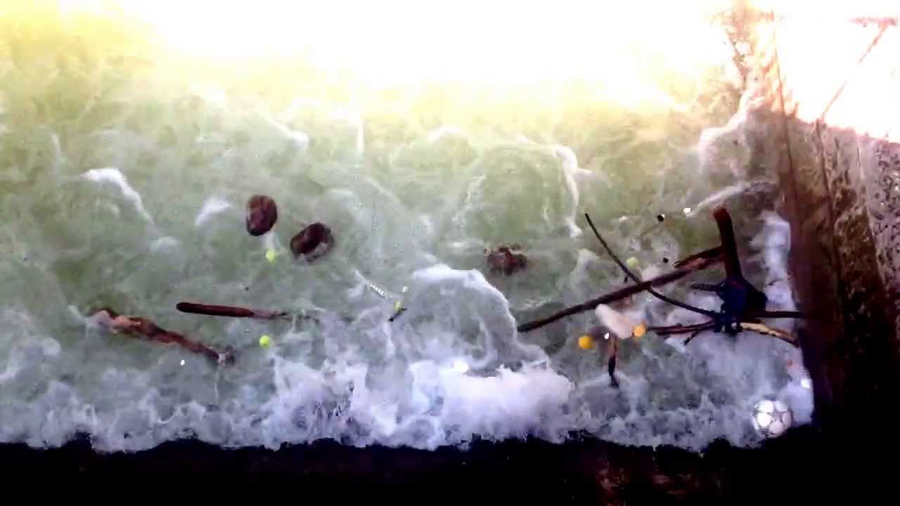 Trashdance - Tanz in Wasserwalze
