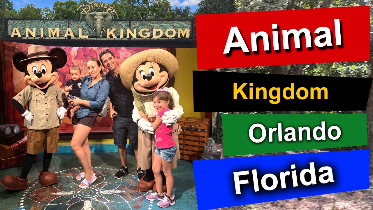 Visita a Animal Kingdom en Orlando Florida, Zoologico de disney parque de animales, avatar, dinosaur