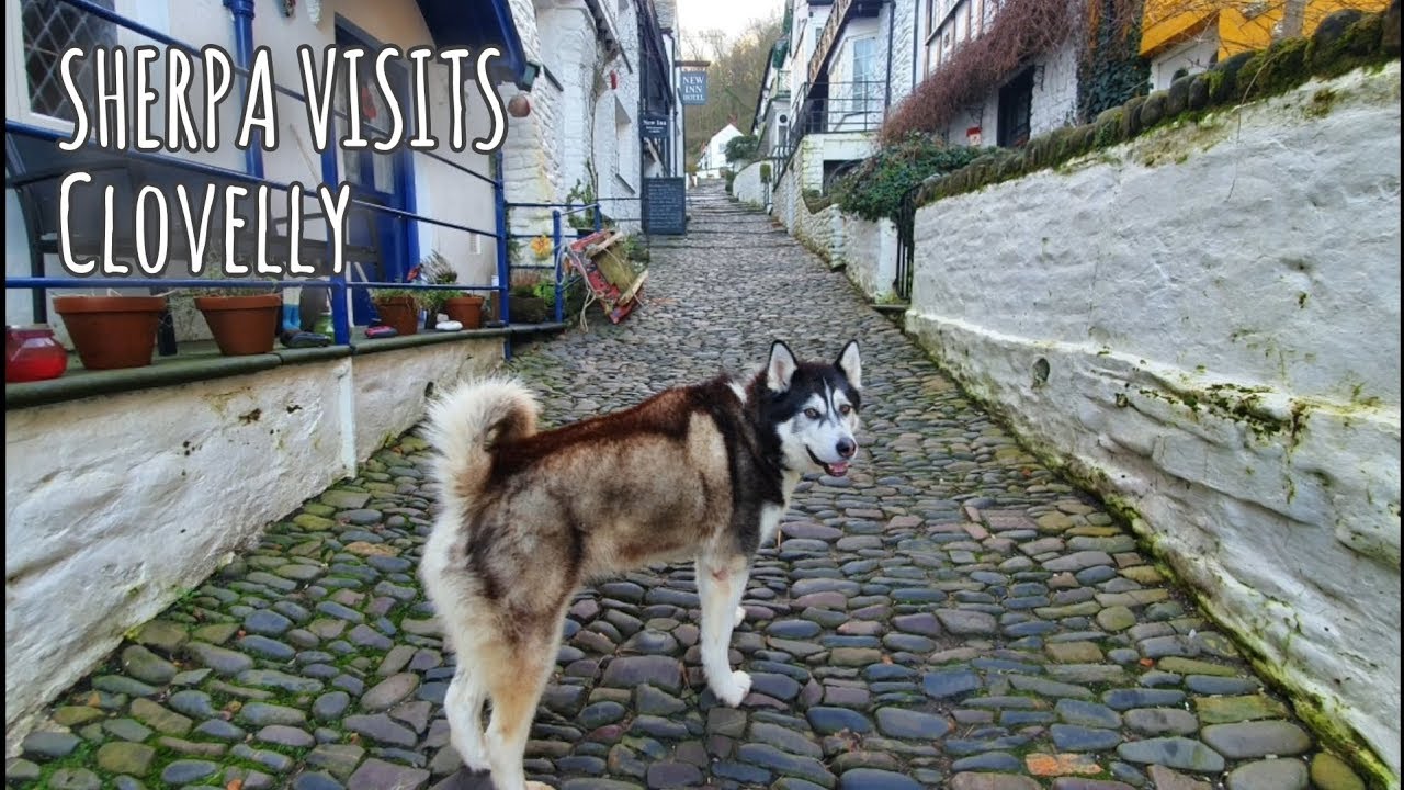 Exploring clovelly | Sherpa tours | wandering in Devon