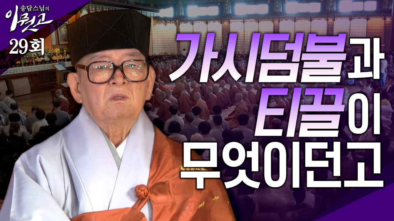 [큰자막]가시덤불과 티끌이 무엇이던고 | 송담스님의 이뭣고 29회 (전체영상) 