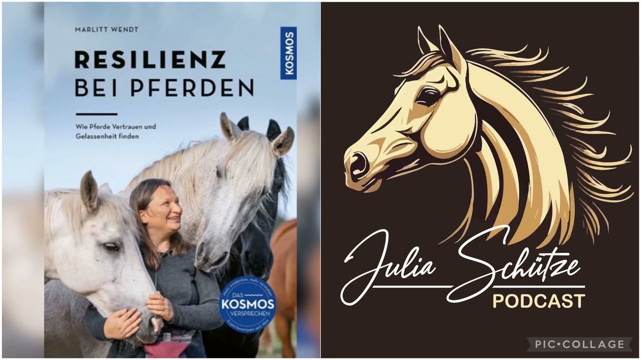 🐴 RESILIENZ bei Pferden - Marlitt Wendt; Talk2Me #181